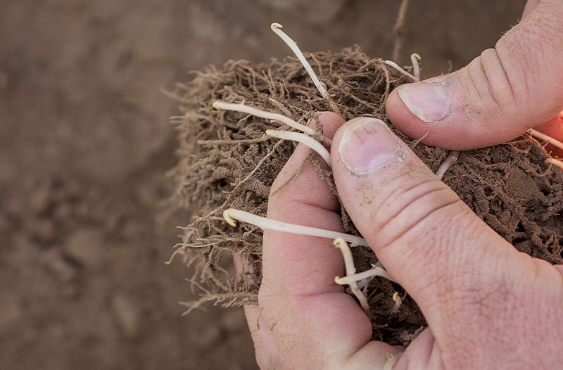 Nos cédants agricoles accompagnés par nos partenaires