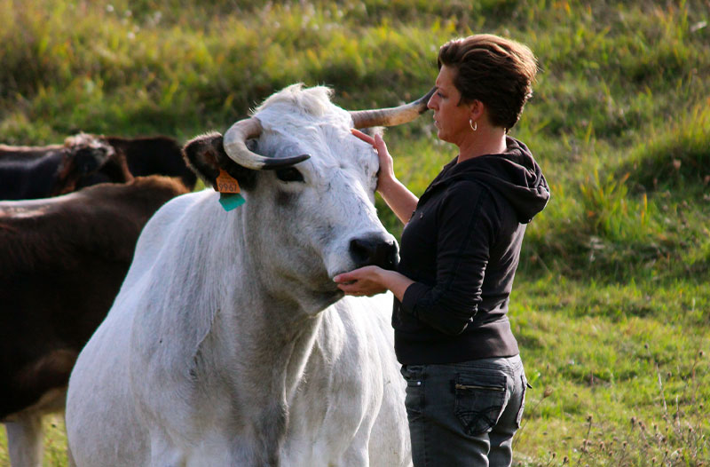 La ferme de Marquisat