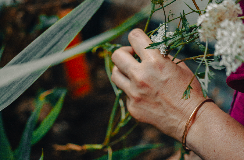 Un peu, beaucoup, passion et plantes