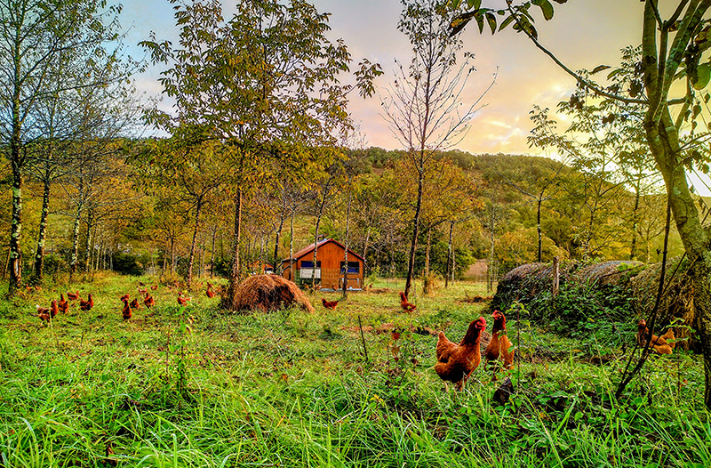 La ferme du Palassou