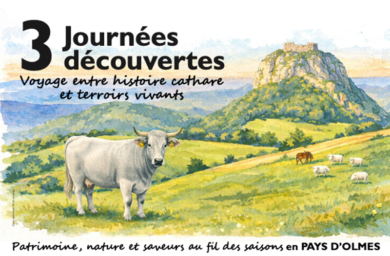 3 CIRCUITS DÉCOUVERTES - Voyage entre histoire cathare et terroirs vivants